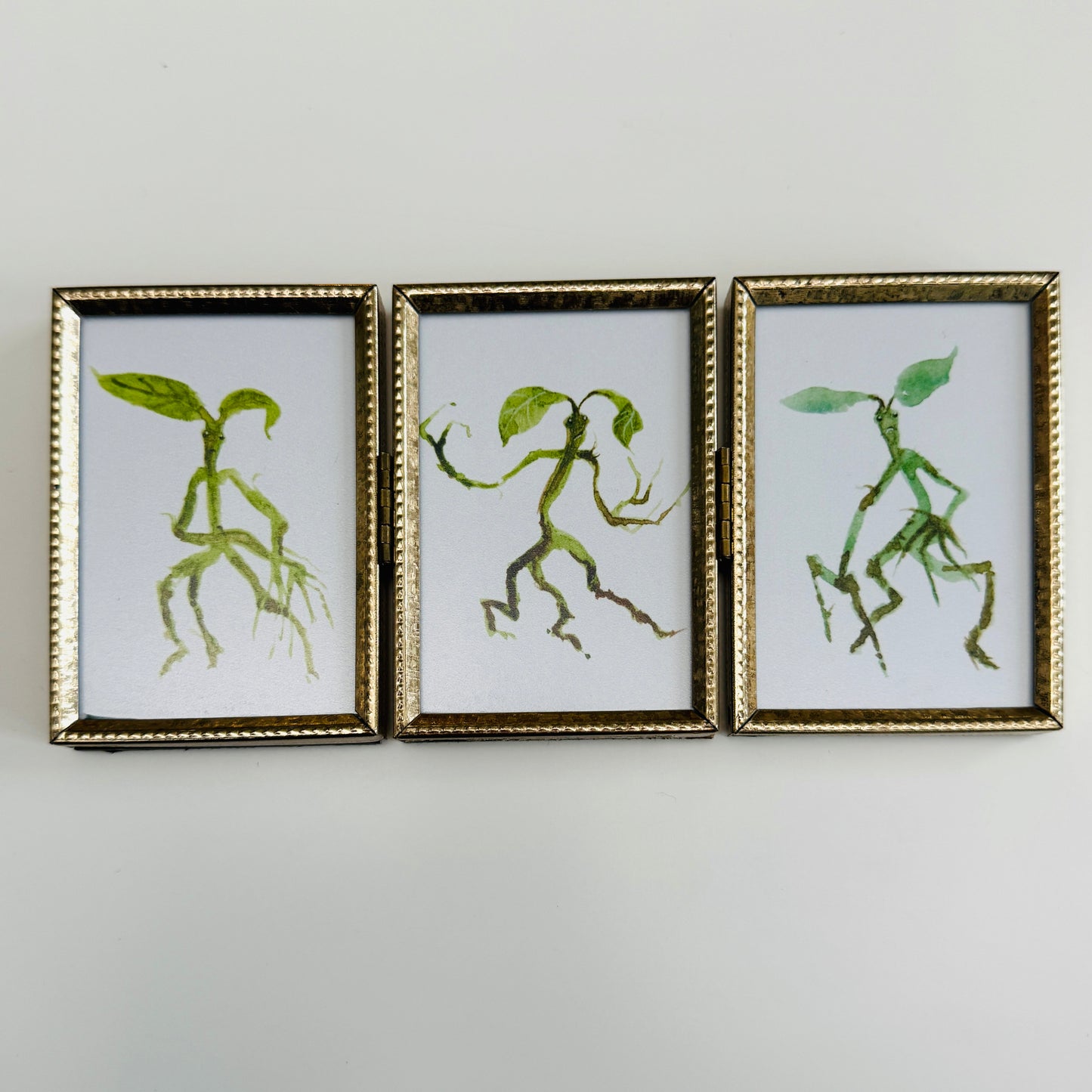 Bowtruckle Trio - PRINTs in portrait frame