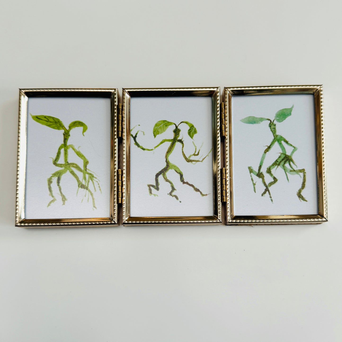 Bowtruckle Trio - PRINTs in portrait frame