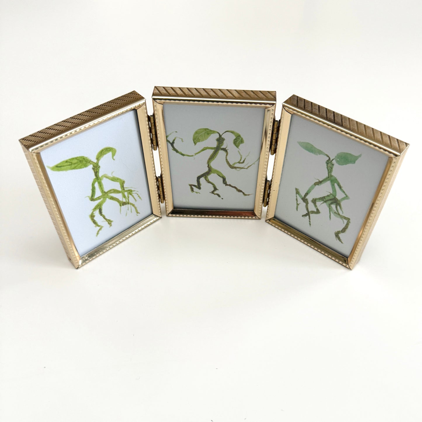 Bowtruckle Trio - PRINTs in portrait frame