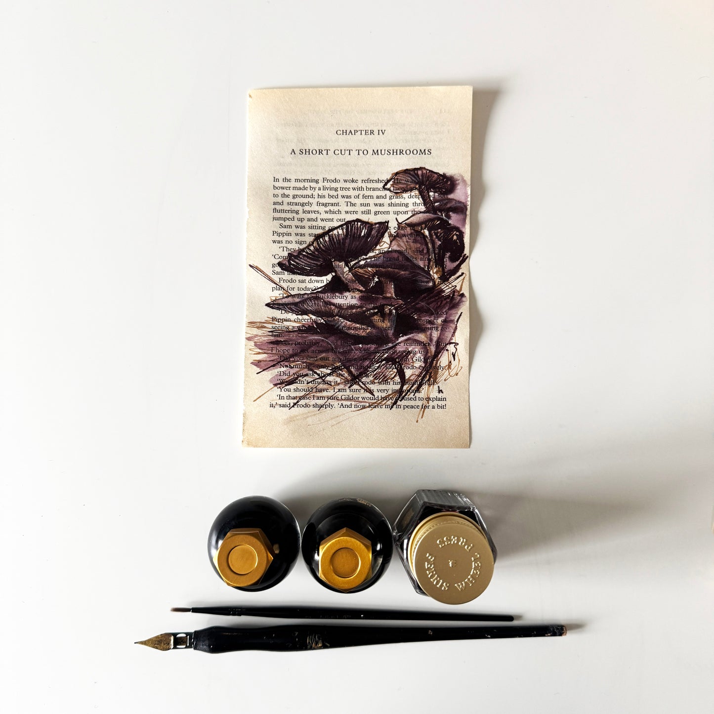 Hobbity Bookish Studies : Mushrooms, study in ink on p113
