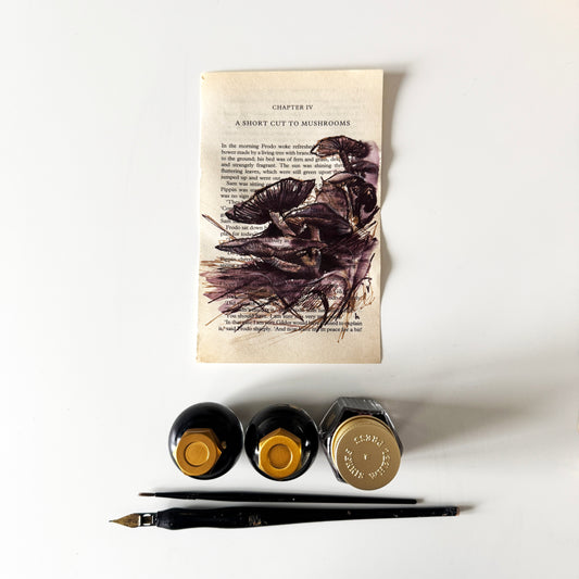 Hobbity Bookish Studies : Mushrooms, study in ink on p113