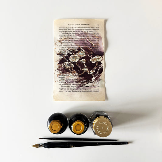 Hobbity Bookish Studies : Mushrooms, study in ink on p115