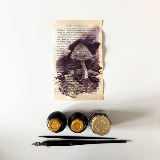 Hobbity Bookish Studies : Mushrooms, study in ink on p115 v2