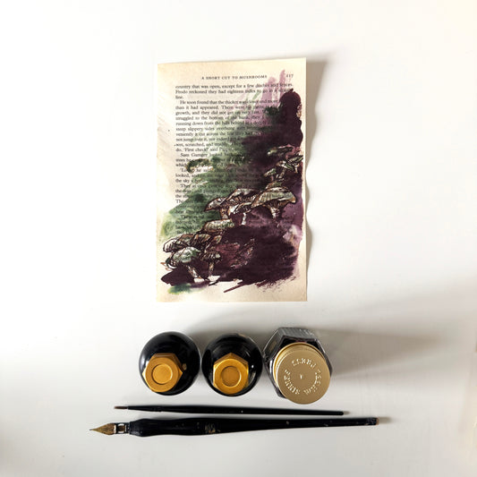 Hobbity Bookish Studies : Mushrooms, study in ink on p117