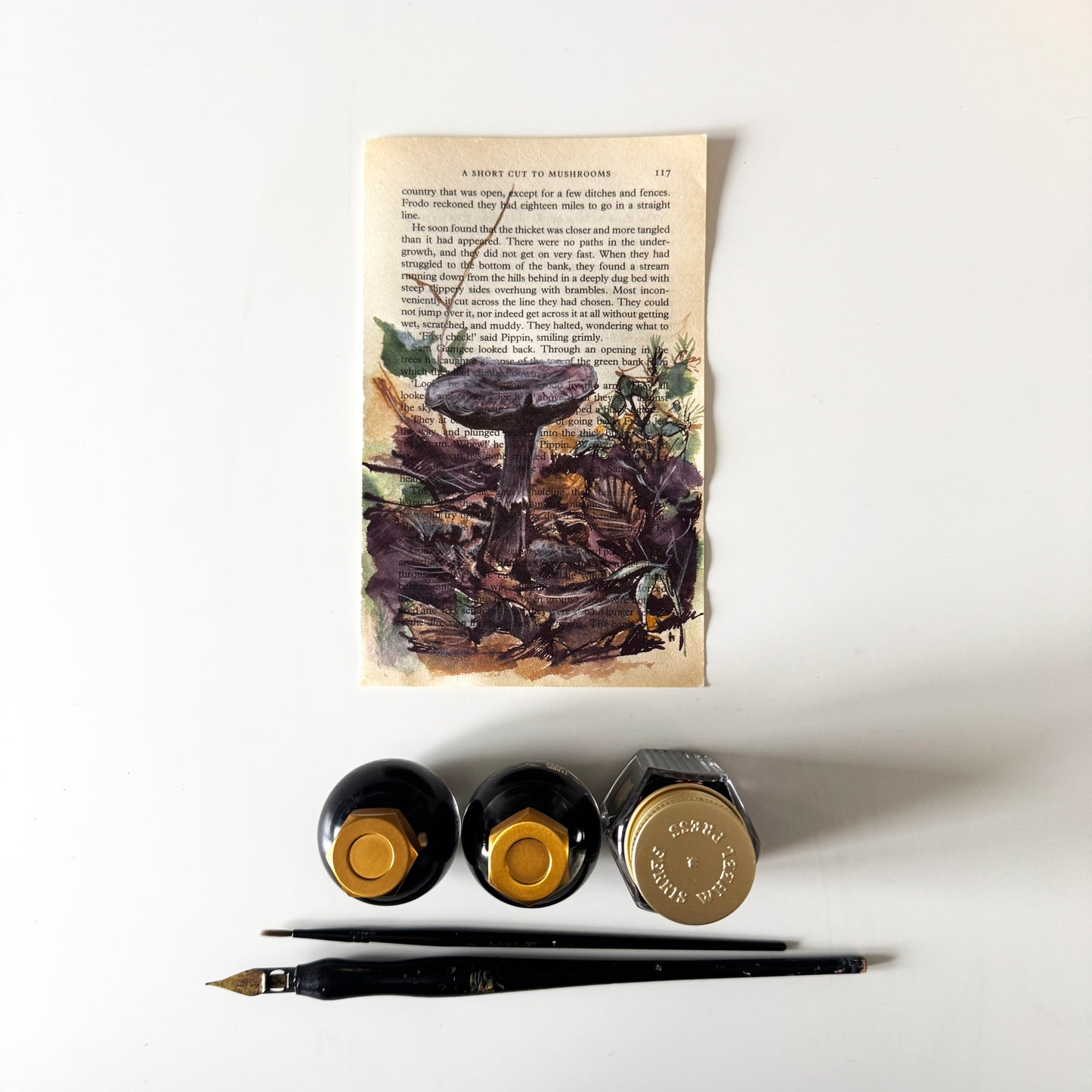 Hobbity Bookish Studies : Mushrooms, study in ink on p117 v2