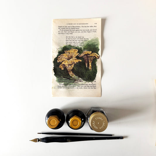 Hobbity Bookish Studies : Mushrooms, study in ink on p119