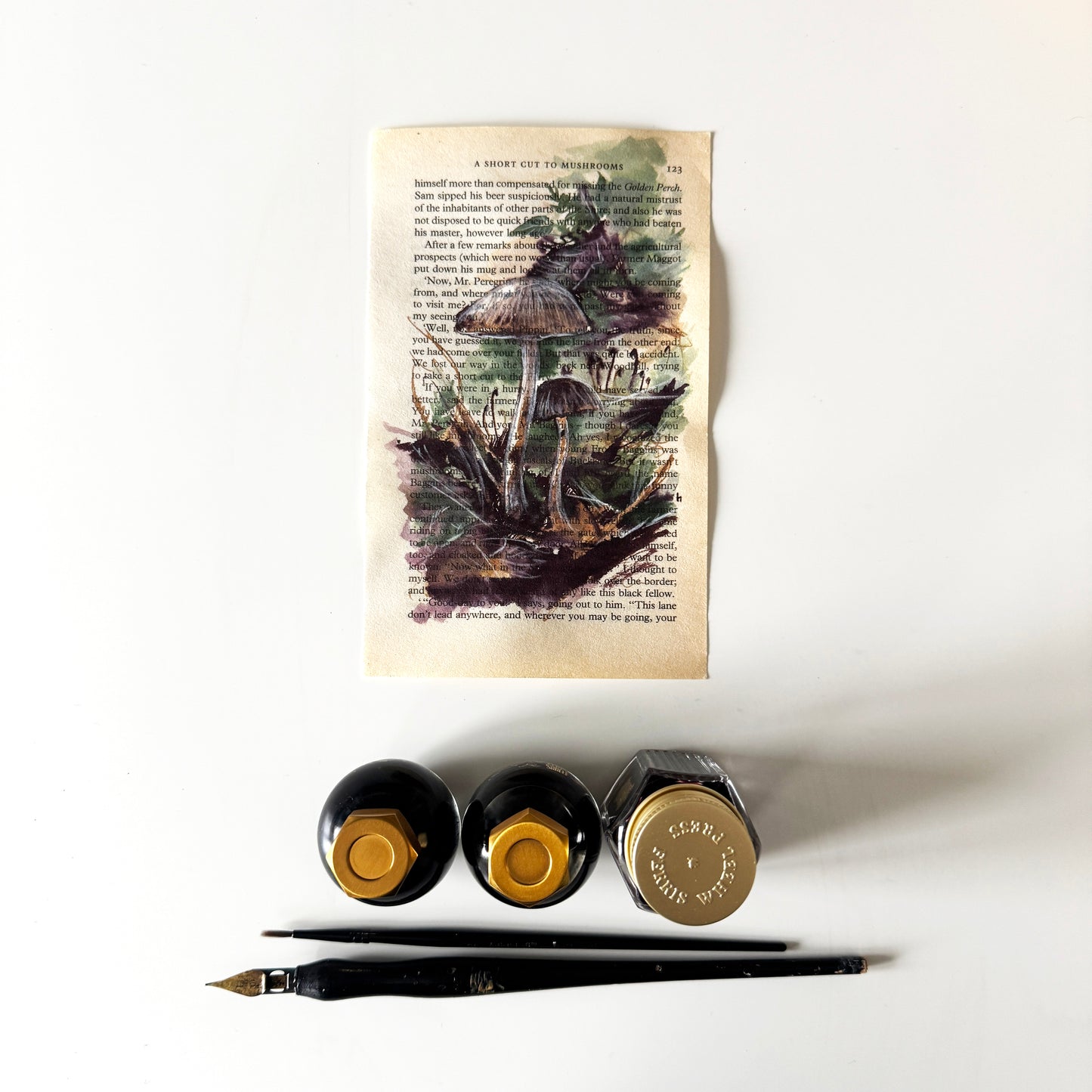 Hobbity Bookish Studies : Mushrooms, study in ink on p123 v2