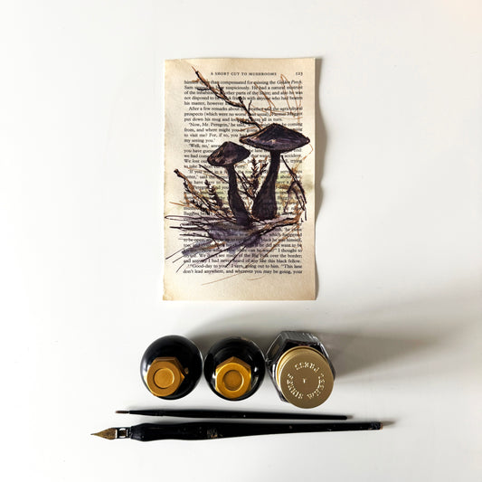 Hobbity Bookish Studies : Mushrooms, study in ink on p123