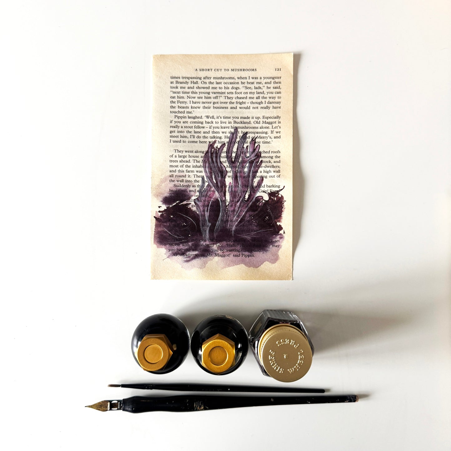 Hobbity Bookish Studies : Mushrooms, study in ink on p121 v2