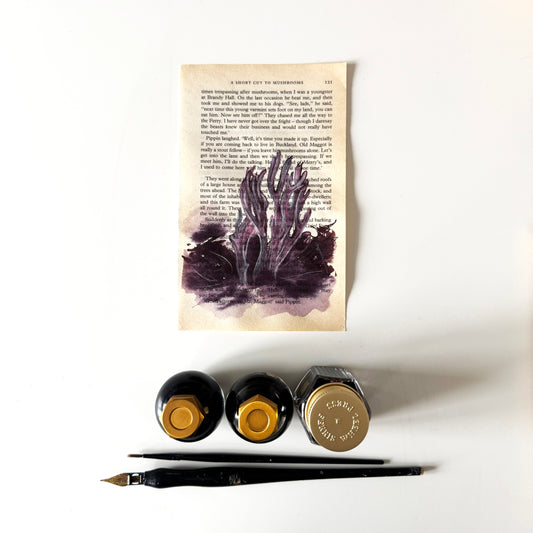 Hobbity Bookish Studies : Mushrooms, study in ink on p121 v2