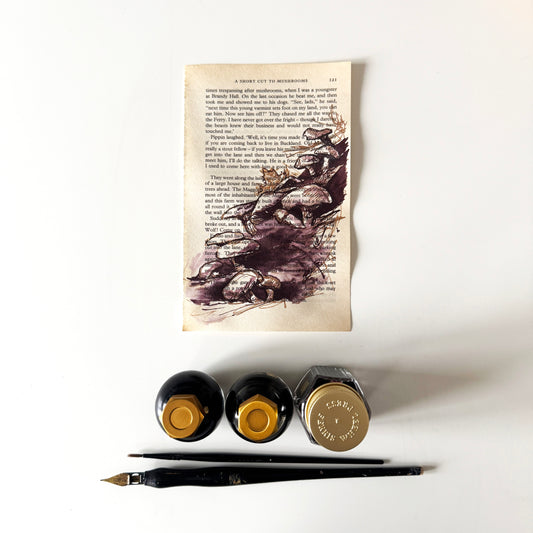 Hobbity Bookish Studies : Mushrooms, study in ink on p121