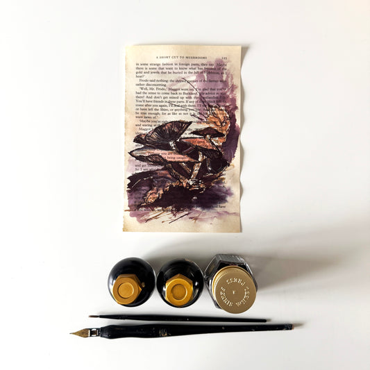 Hobbity Bookish Studies : Mushrooms, study in ink on p125