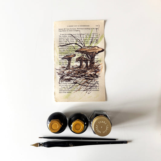 Hobbity Bookish Studies : Mushrooms, study in ink on p127