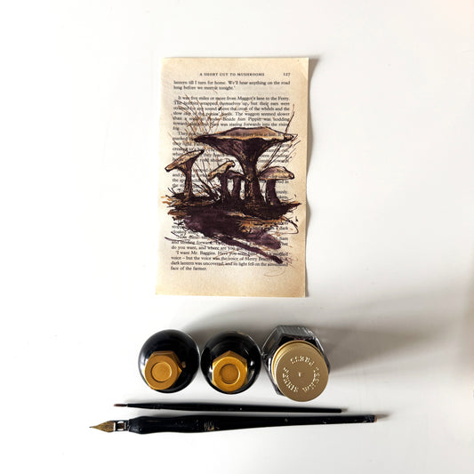Hobbity Bookish Studies : Mushrooms, study in ink on p127 v2