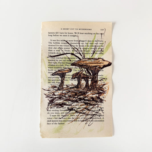 Hobbity Bookish Studies : Mushrooms, study in ink on p127