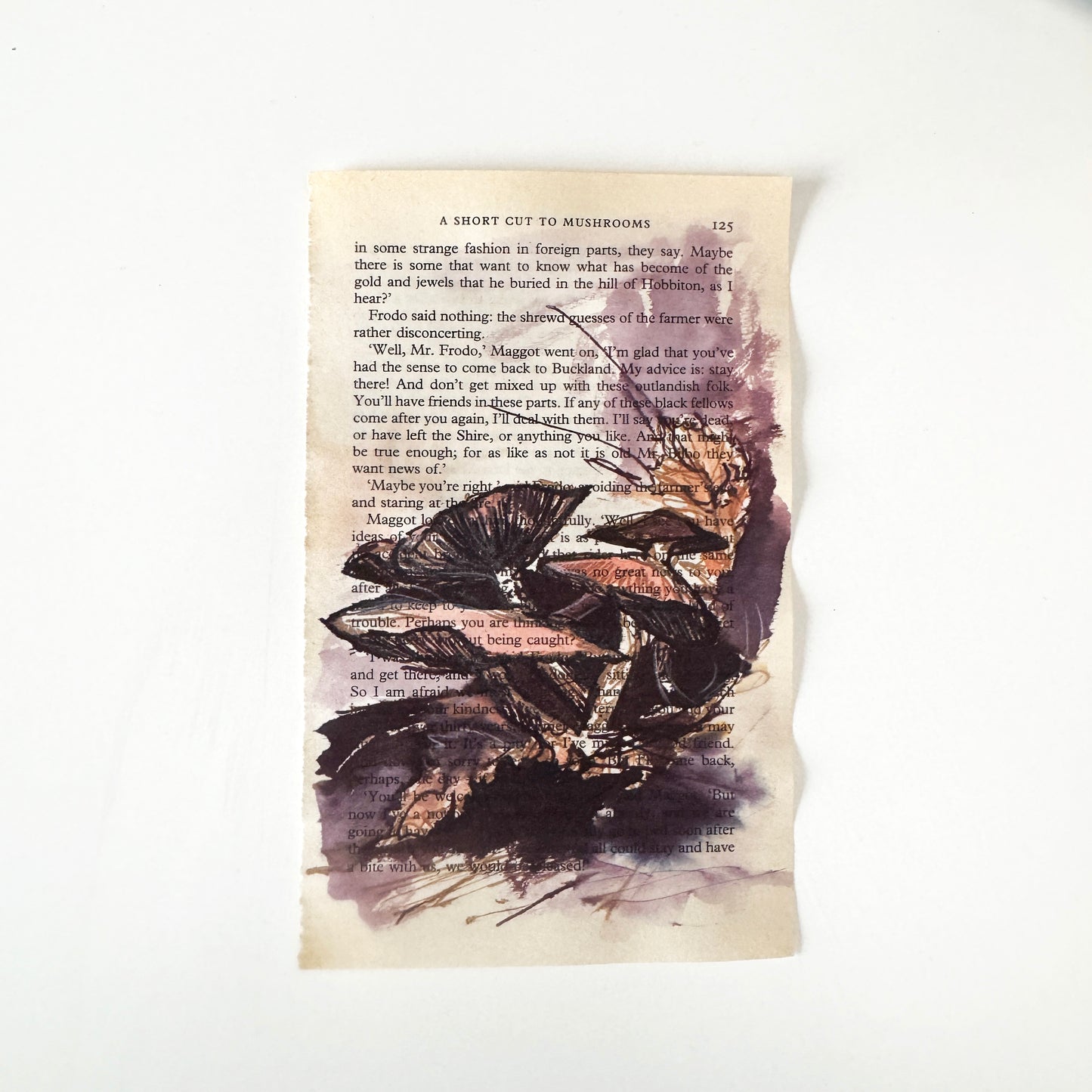 Hobbity Bookish Studies : Mushrooms, study in ink on p125