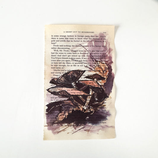 Hobbity Bookish Studies : Mushrooms, study in ink on p125