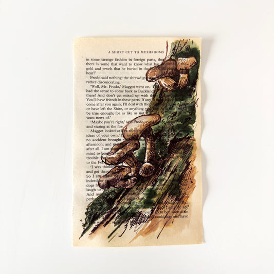 Hobbity Bookish Studies : Mushrooms, study in ink on p125 v2