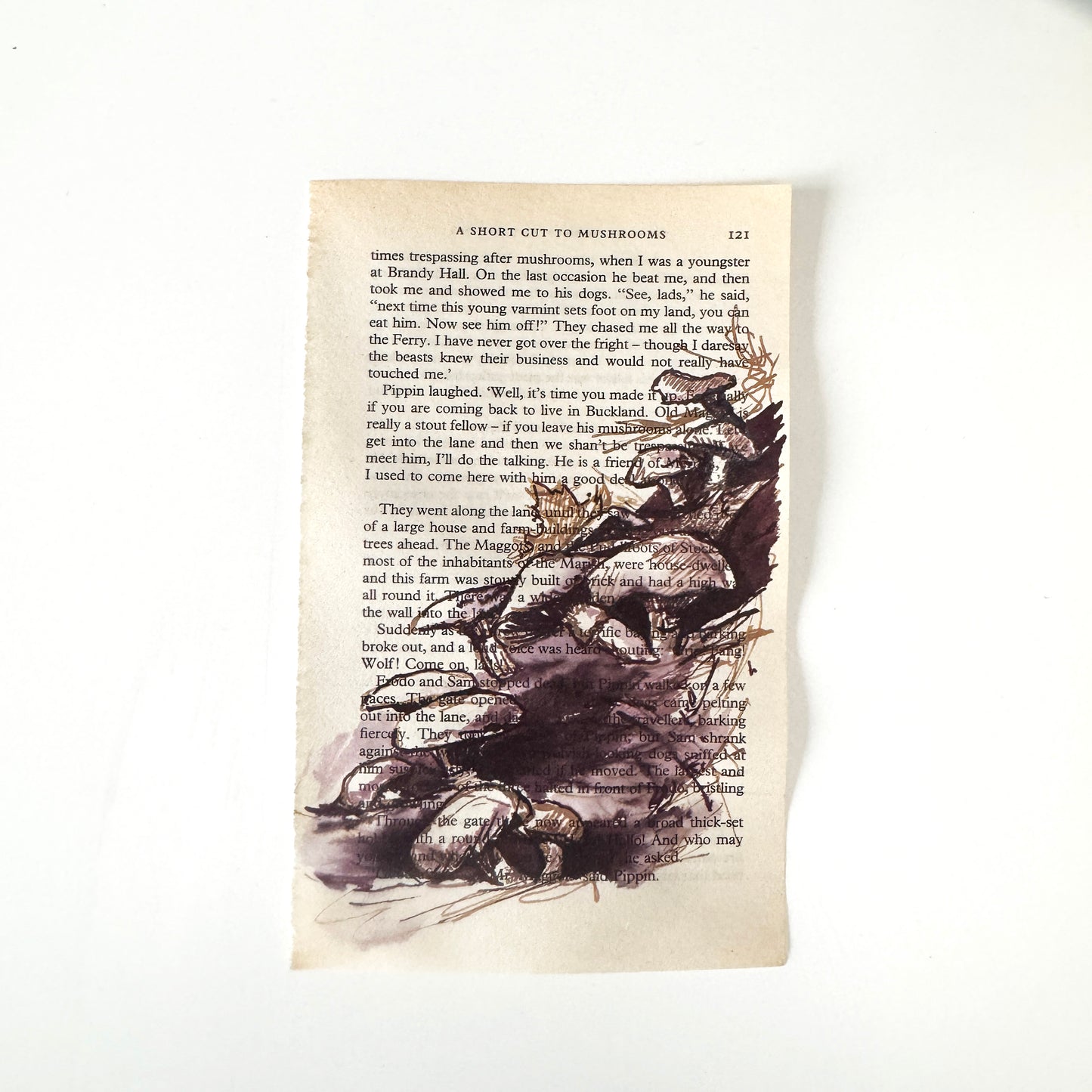 Hobbity Bookish Studies : Mushrooms, study in ink on p121