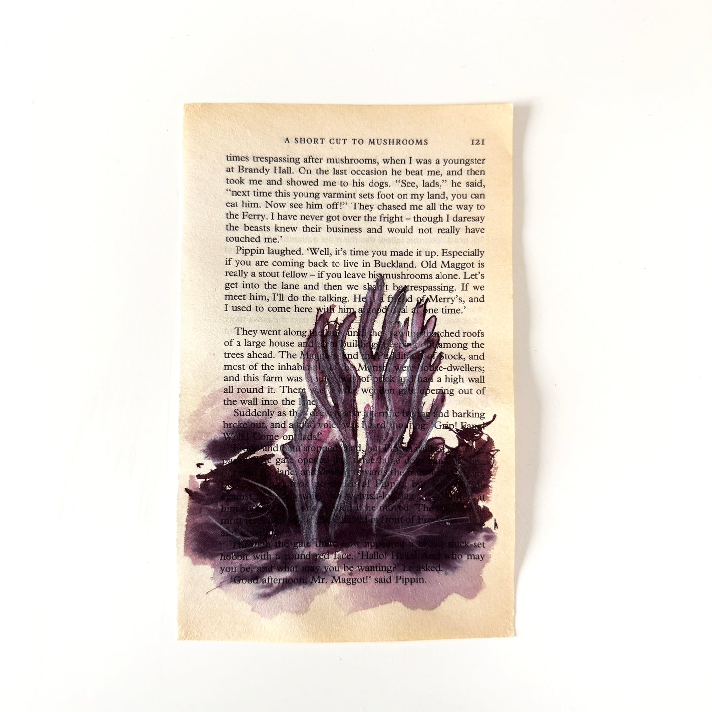 Hobbity Bookish Studies : Mushrooms, study in ink on p121 v2