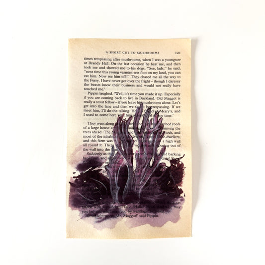 Hobbity Bookish Studies : Mushrooms, study in ink on p121 v2