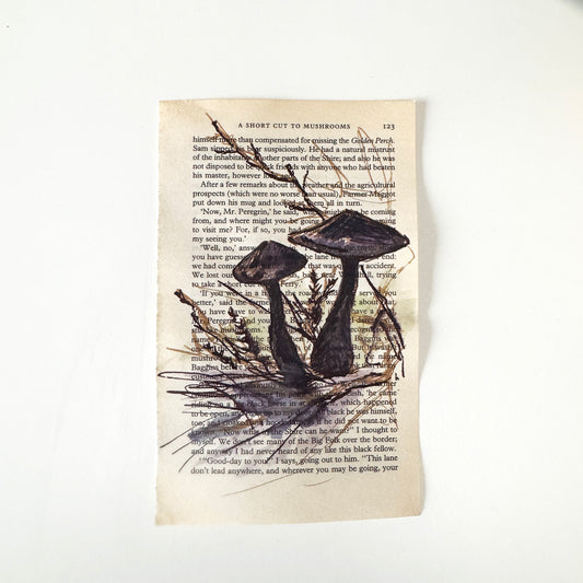Hobbity Bookish Studies : Mushrooms, study in ink on p123