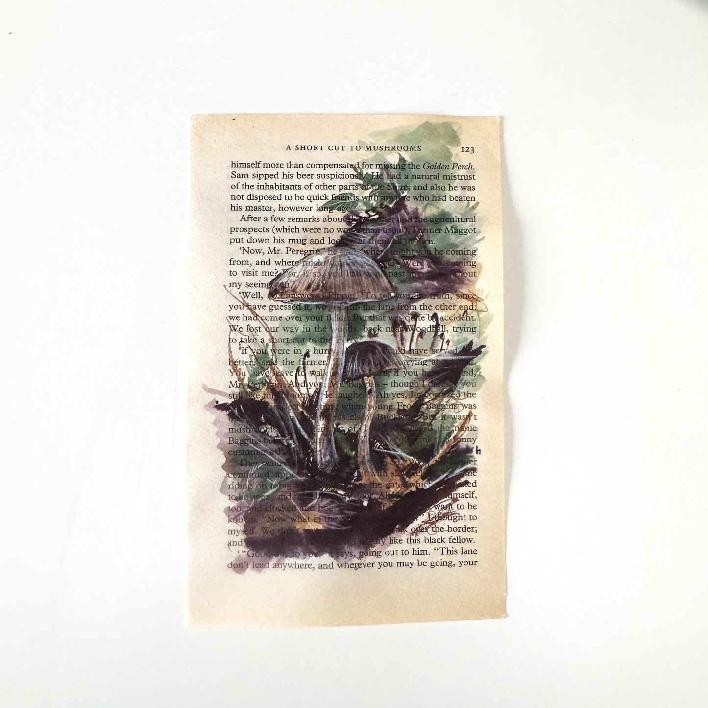 Hobbity Bookish Studies : Mushrooms, study in ink on p123 v2