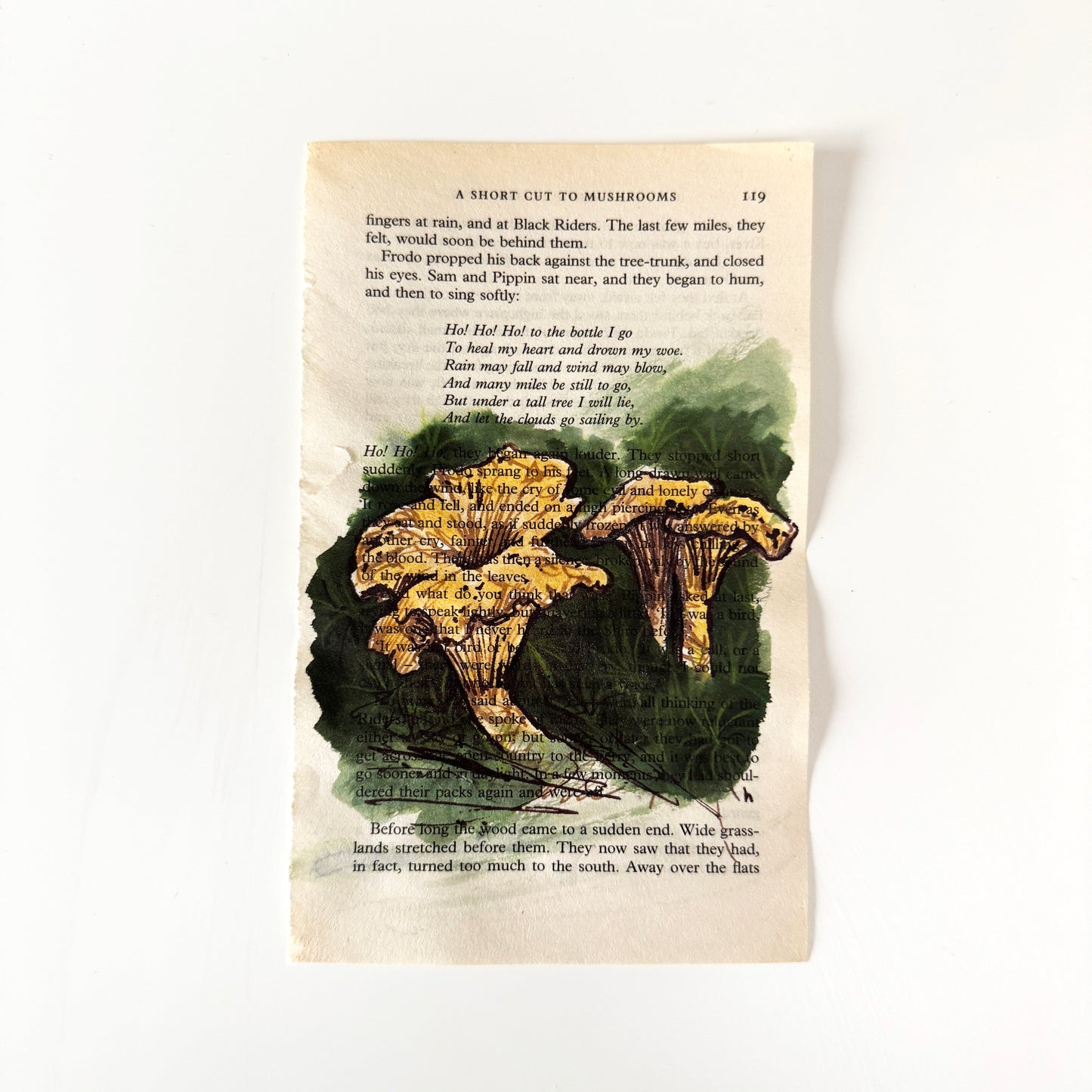 Hobbity Bookish Studies : Mushrooms, study in ink on p119