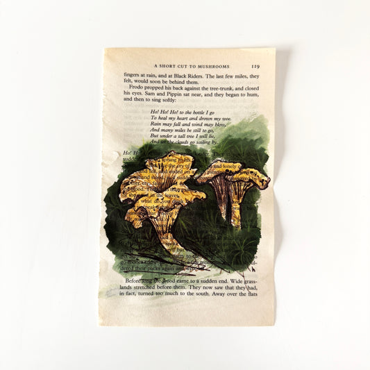 Hobbity Bookish Studies : Mushrooms, study in ink on p119