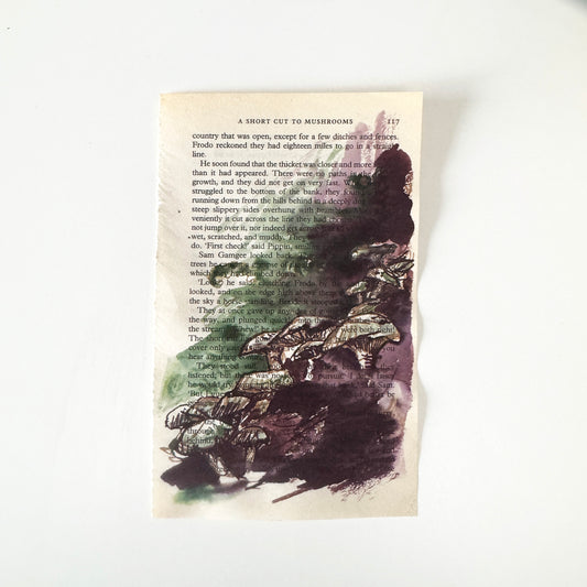 Hobbity Bookish Studies : Mushrooms, study in ink on p117