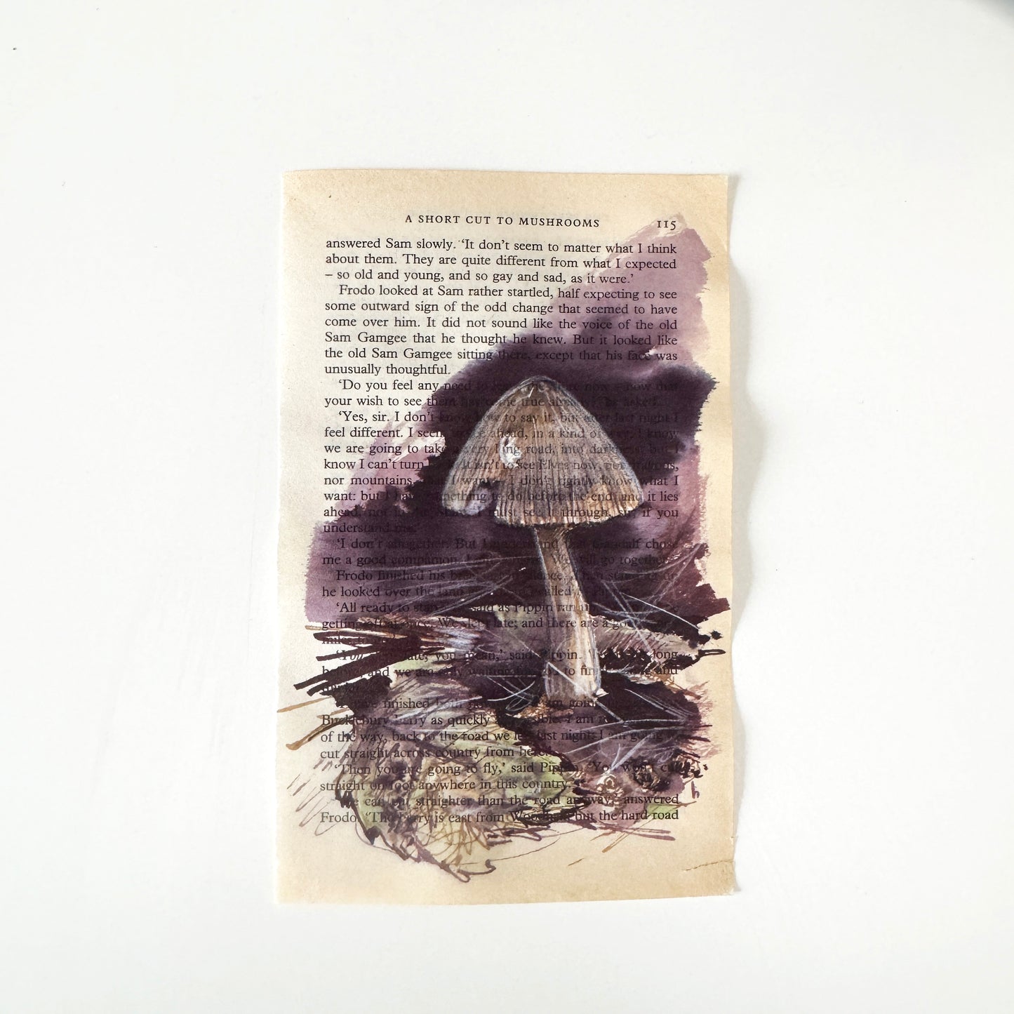 Hobbity Bookish Studies : Mushrooms, study in ink on p115 v2