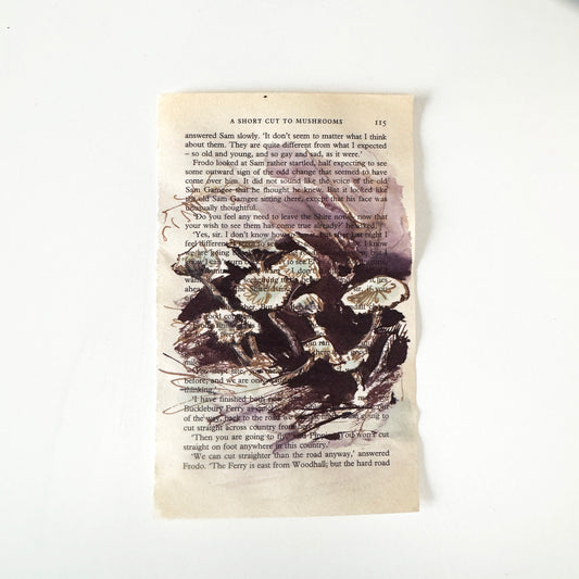 Hobbity Bookish Studies : Mushrooms, study in ink on p115