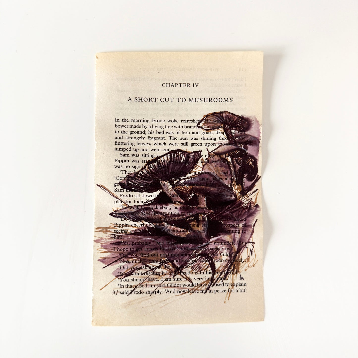 Hobbity Bookish Studies : Mushrooms, study in ink on p113