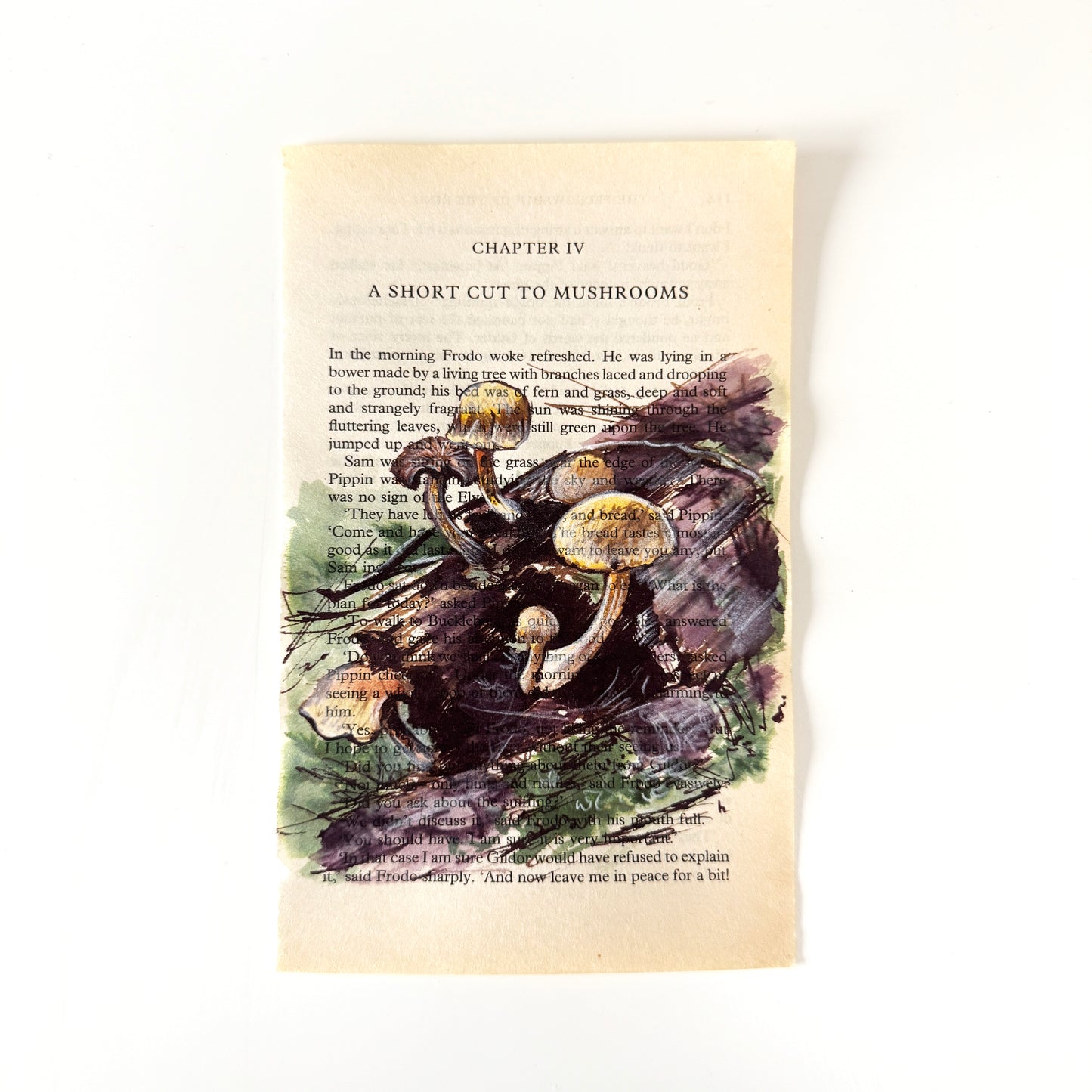 Hobbity Bookish Studies : Mushrooms, study in ink on p113 v2