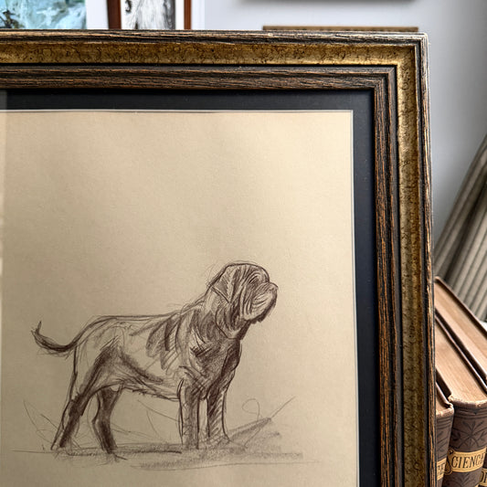Big Coward study No.2, charcoal on paper