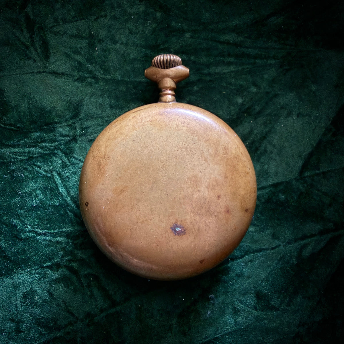 Magical Miniatures : The Professor - POCKET PORTRAIT 02