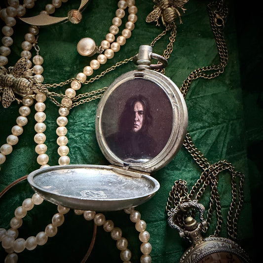 Magical Miniatures : The Potionmaster - POCKET PORTRAIT 02