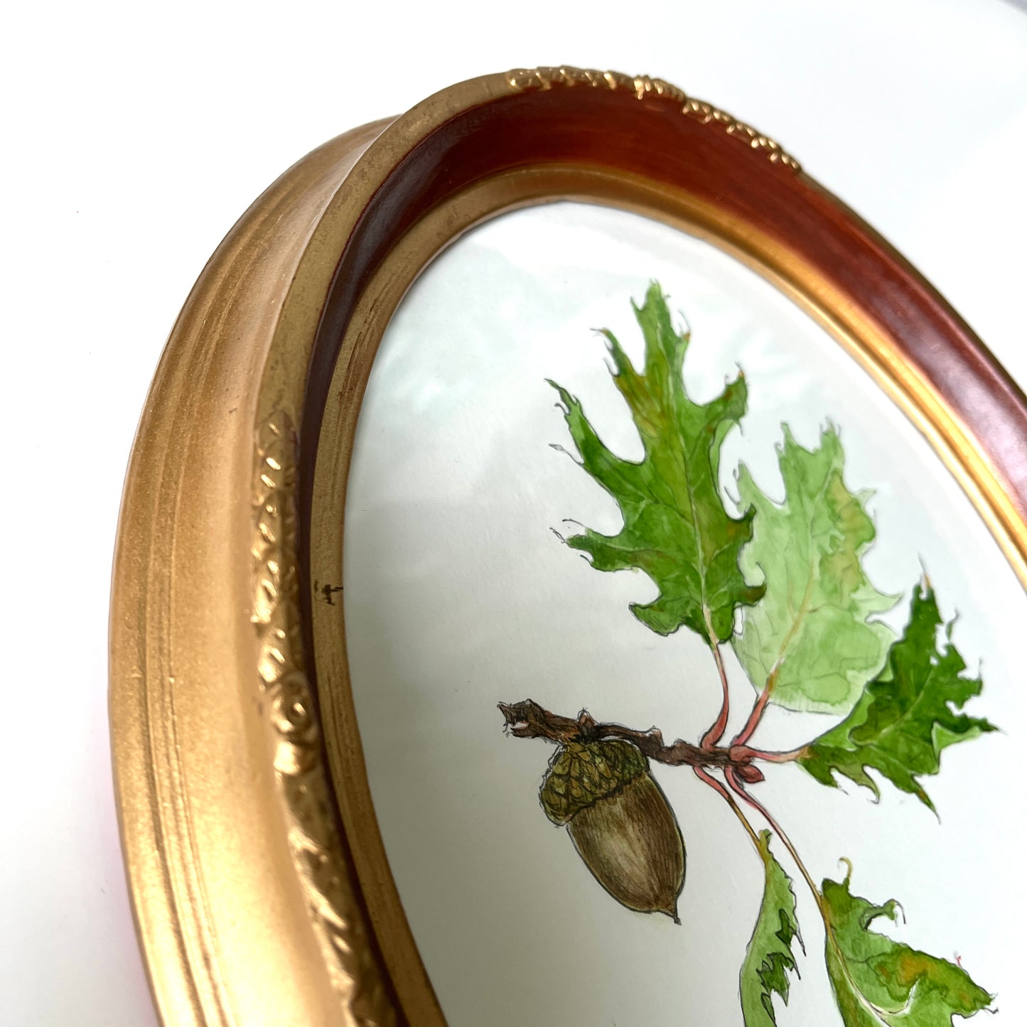 Bilbo's Acorn, watercolour on paper, reclaimed frame