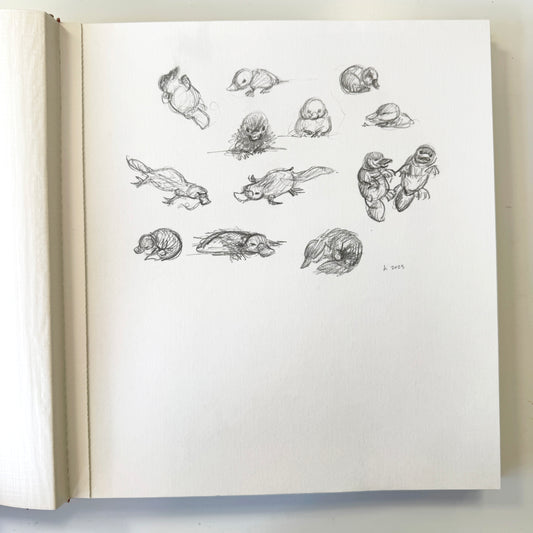 Little Bandits Study No.1 - original pencil study