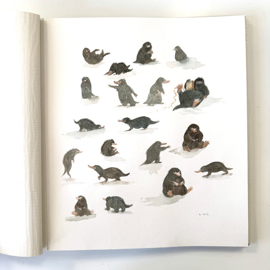 Little Bandits Study No.3 - original watercolour study