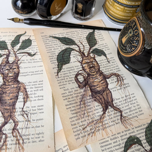 Magical Specimens, studies in ink and watercolour