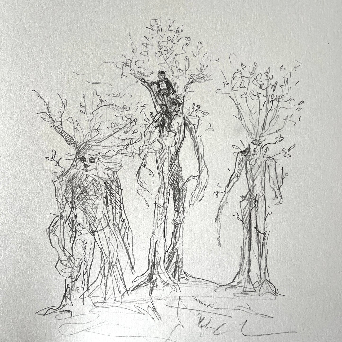 Ents study, pencil on paper