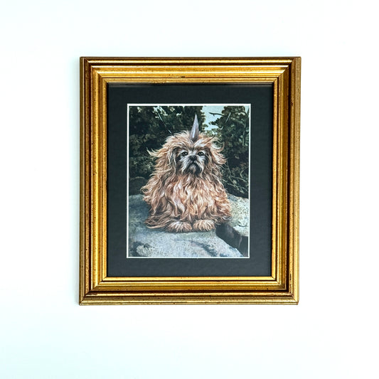 Alfa-177 Canine - PRINT 4x5 in gold frame OOAK Show