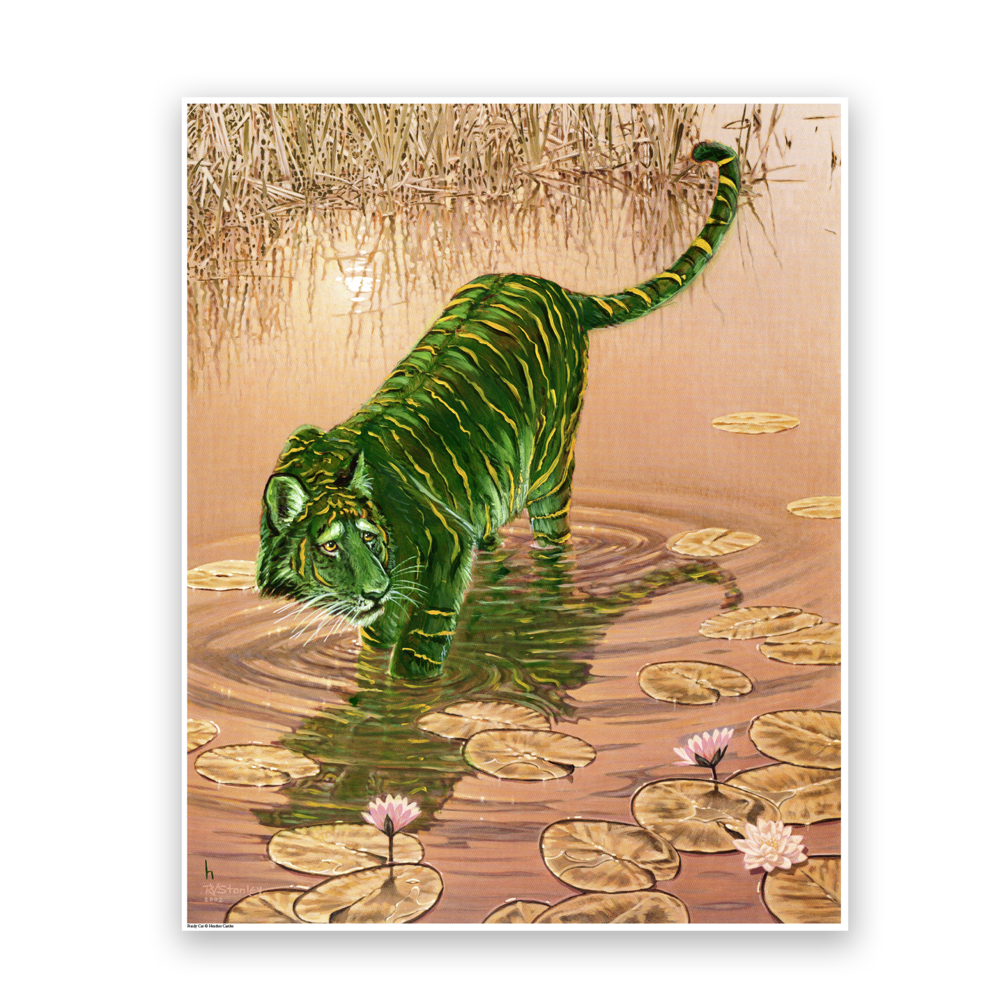 Fraidy Cat - DIGITAL DOWNLOAD