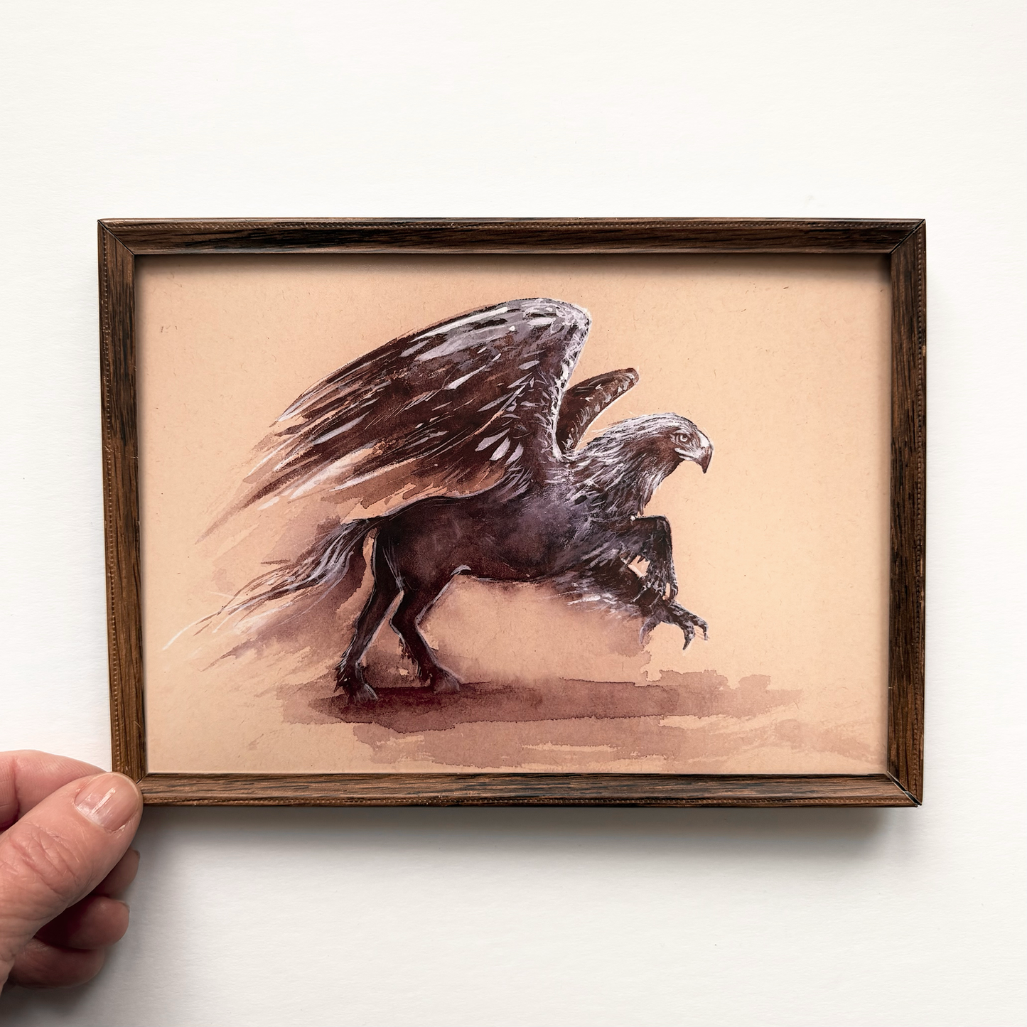 Muggle sketchbook : Study No.5 Hippogriff PRINT 5x7 in wood frame