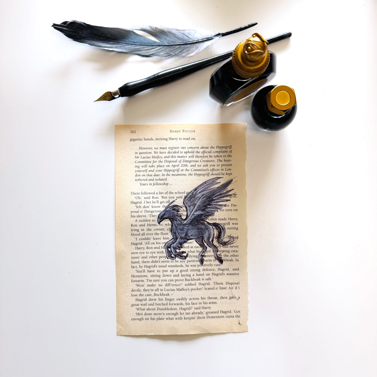 Specimen Studies : Hippogriff, study in ink on p162