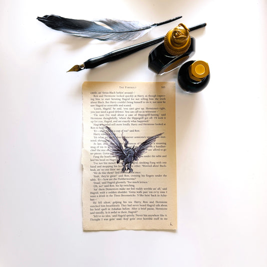 Specimen Studies : Hippogriff, study in ink on p163