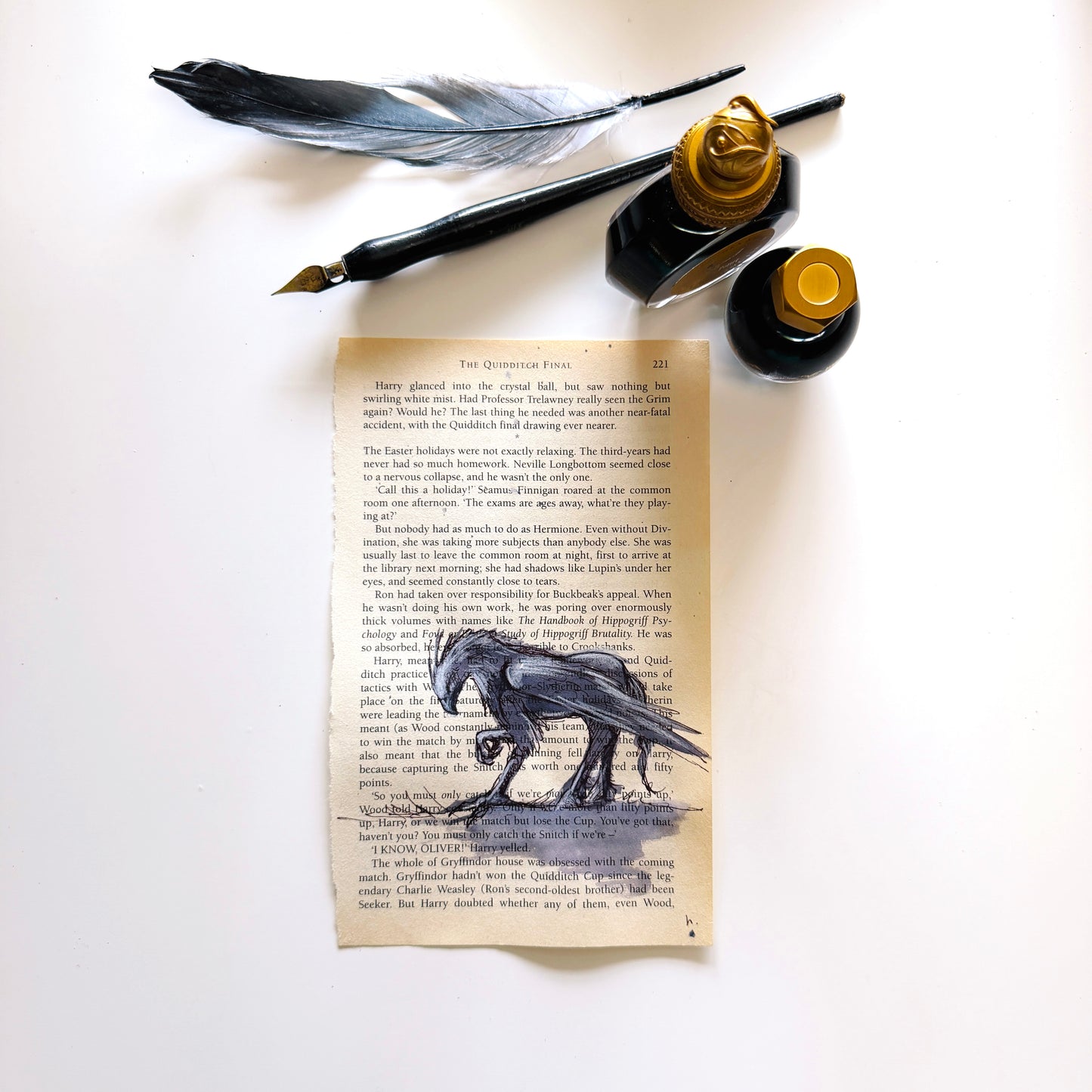 Specimen Studies : Hippogriff, study in ink on p221