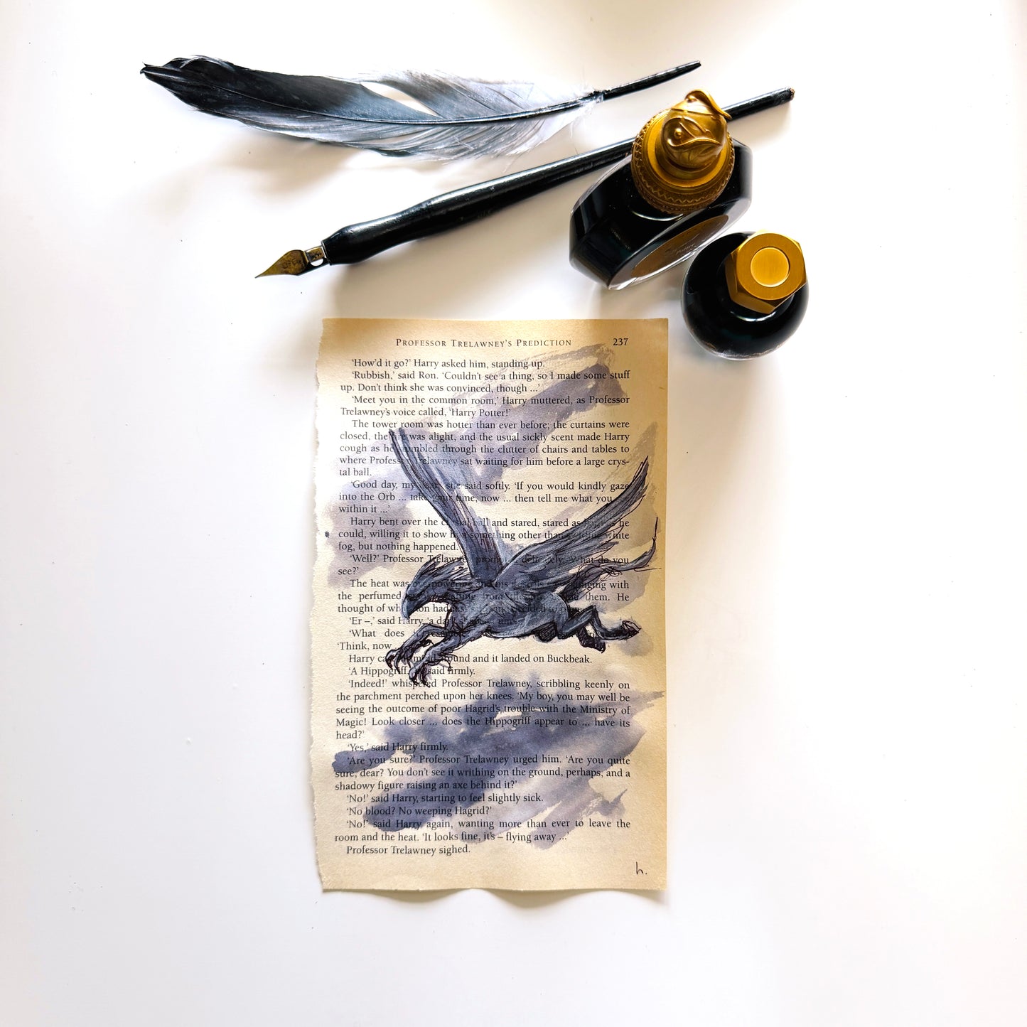 Specimen Studies : Hippogriff, study in ink on p237