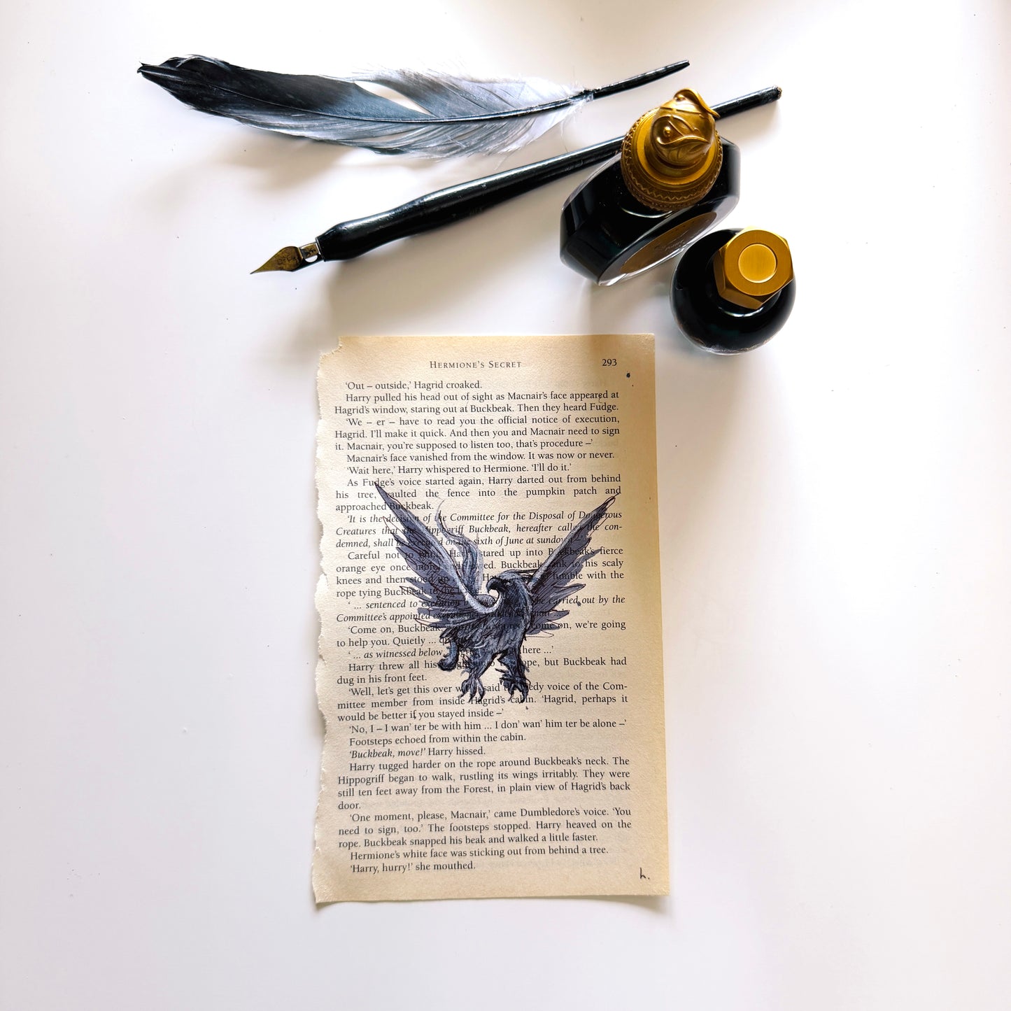Specimen Studies : Hippogriff, study in ink on p293